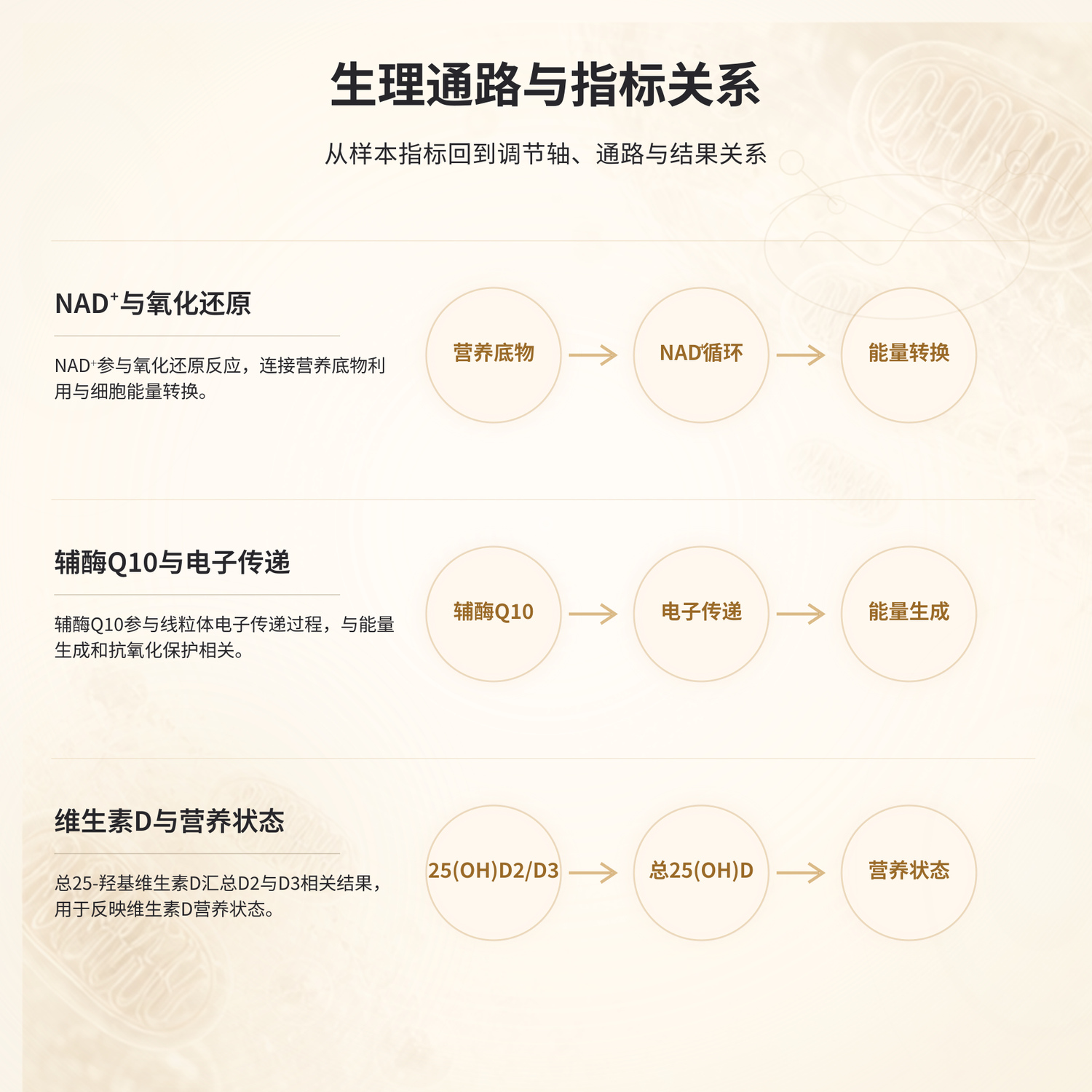生理通路与指标关系