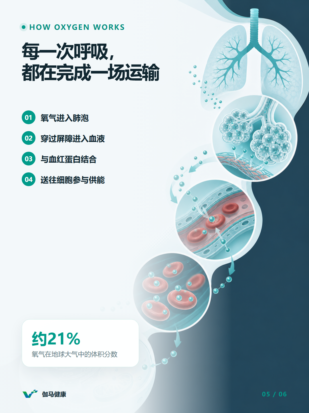 8月1日六图版第5张