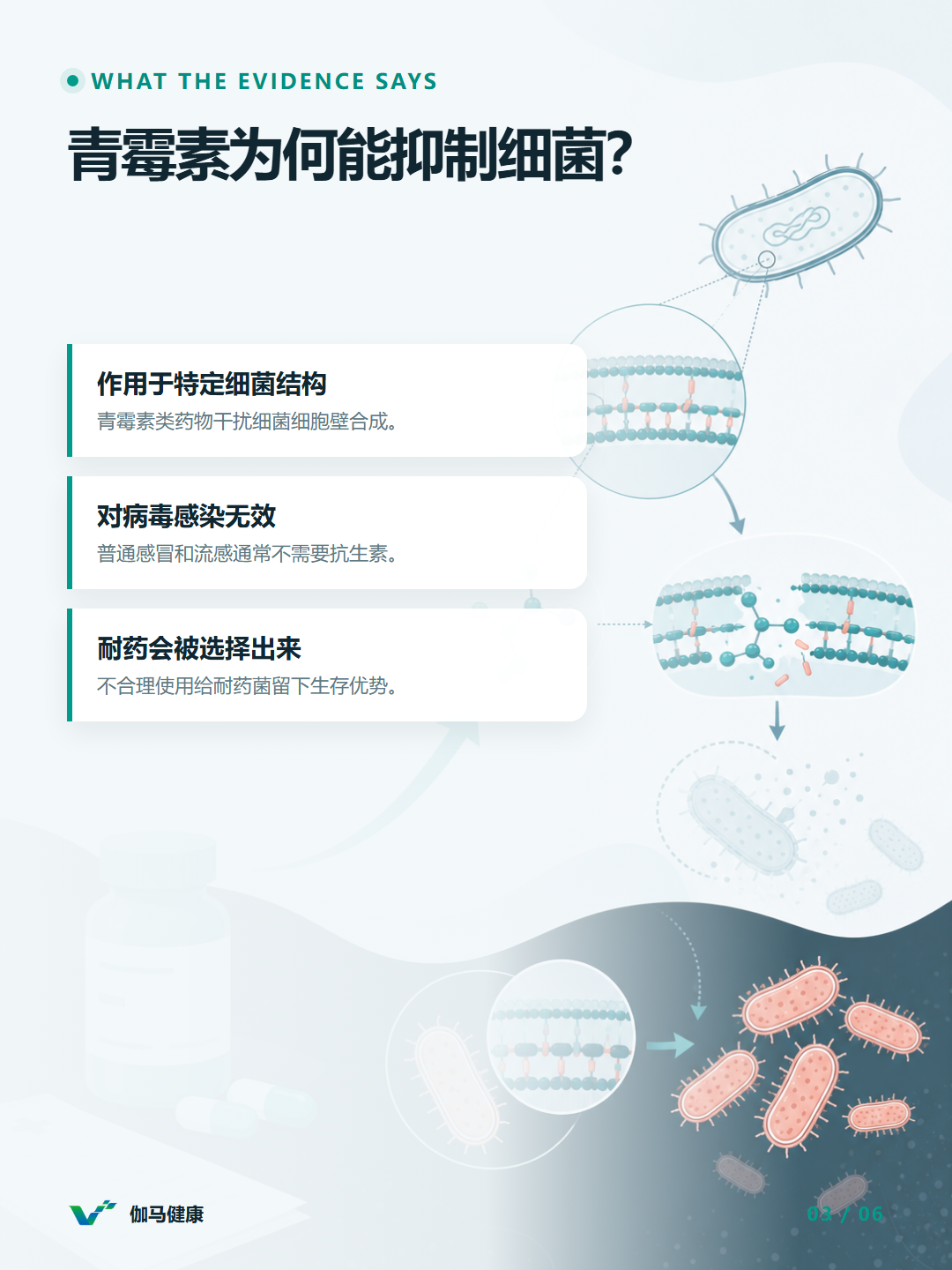 8月6日六图版第3张