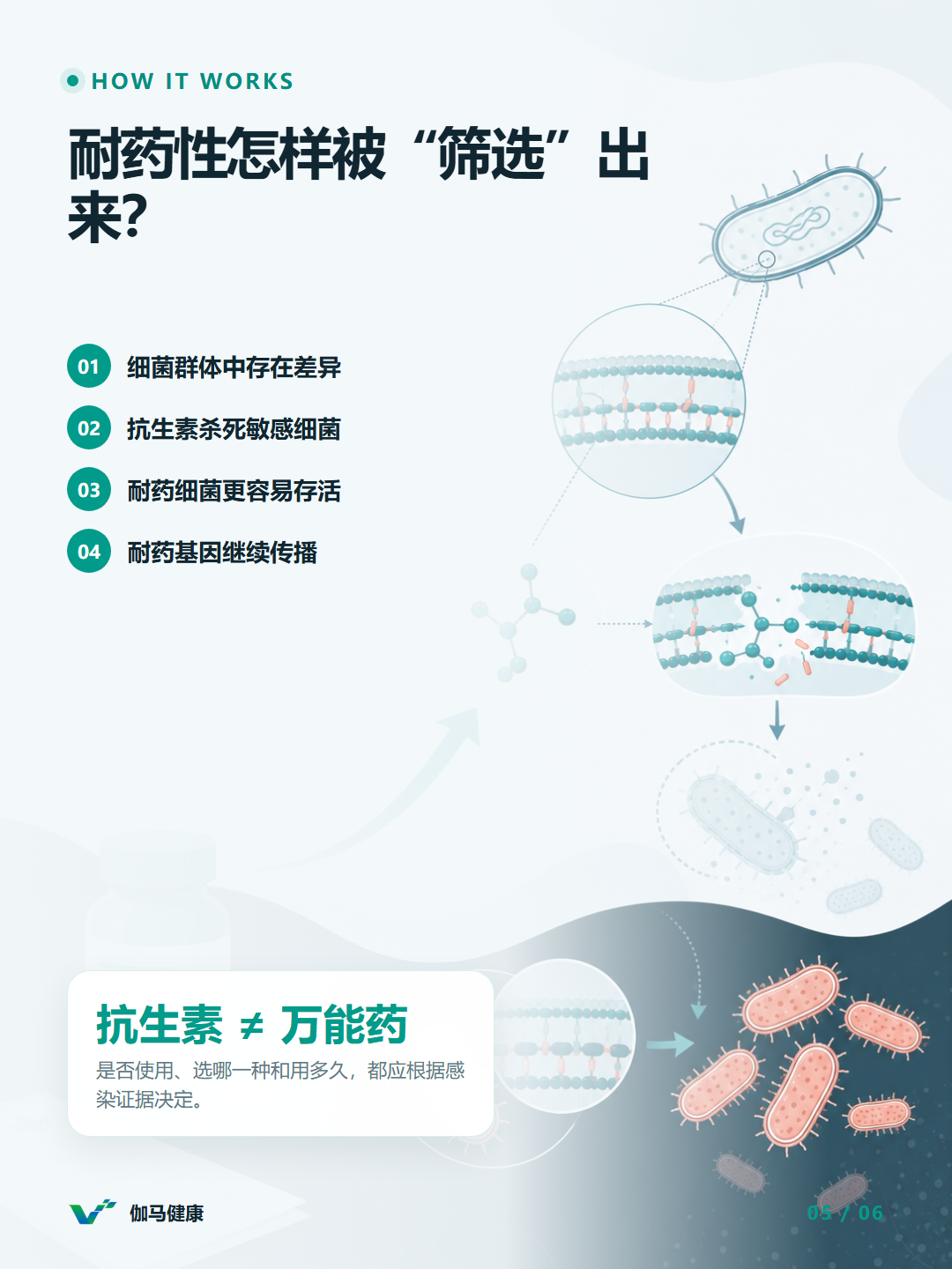 8月6日六图版第5张
