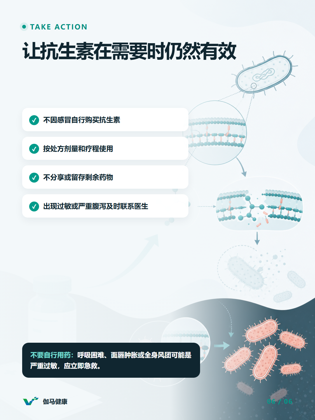 8月6日六图版第6张