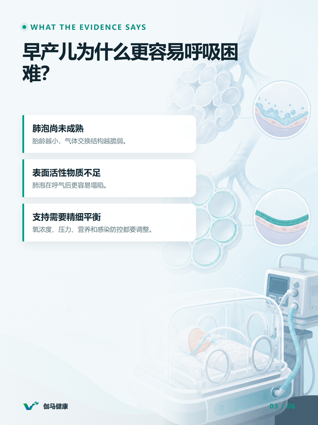 8月7日六图版第3张