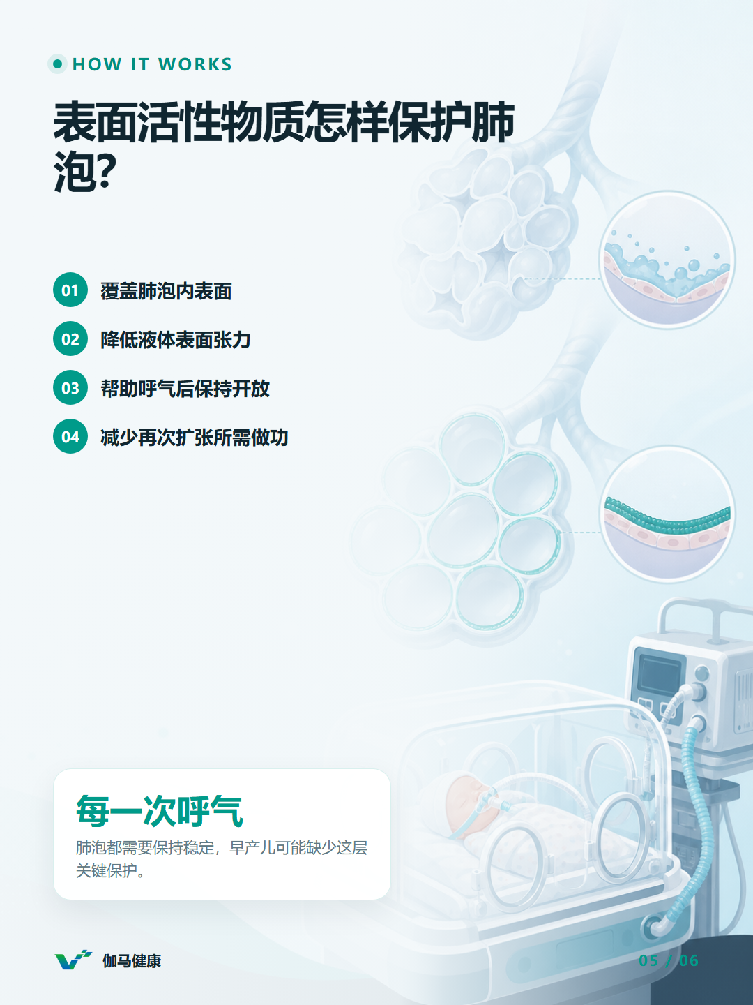 8月7日六图版第5张