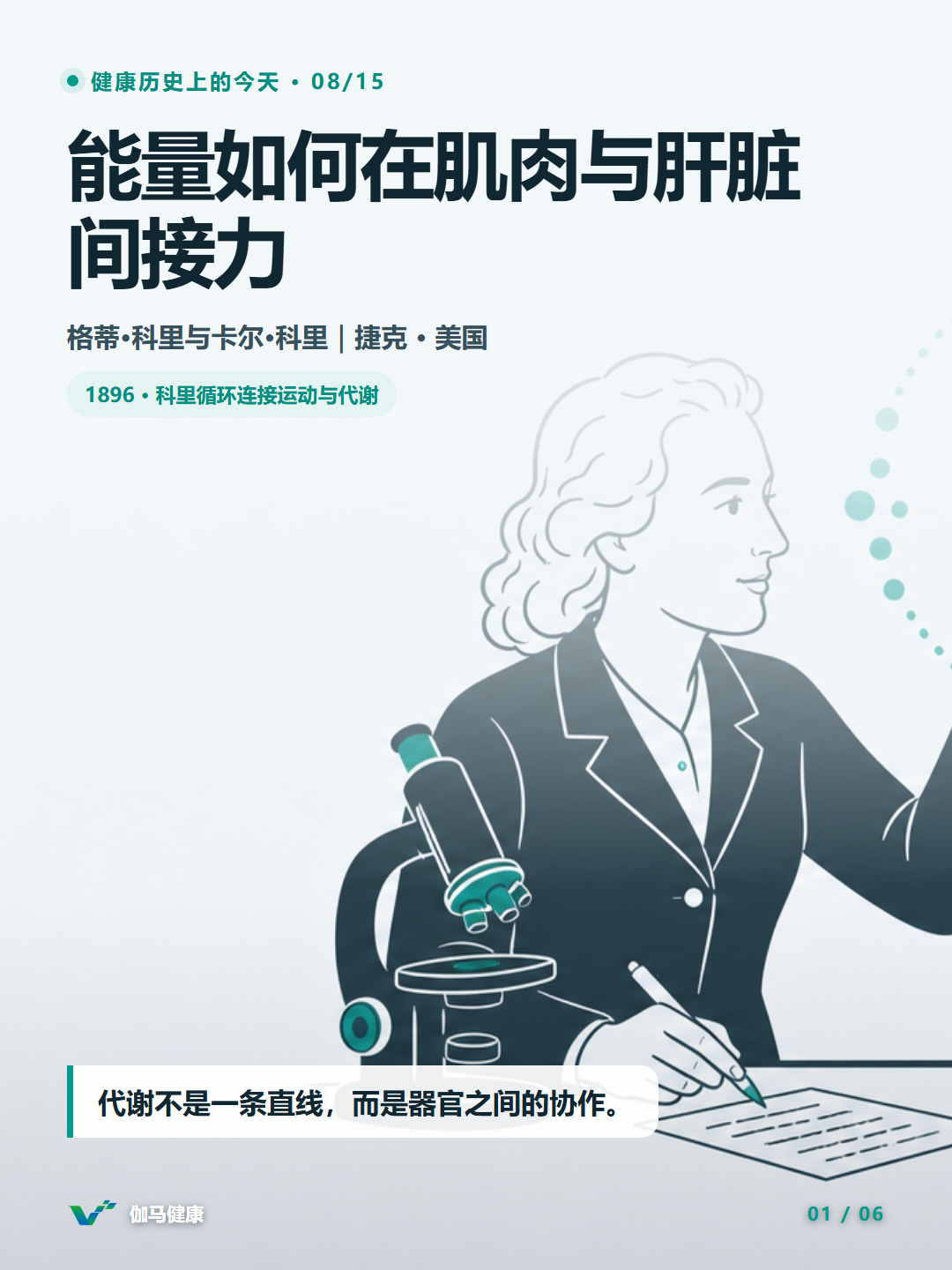 格蒂·科里研究肌肉、乳酸、肝脏与葡萄糖循环的主题插画