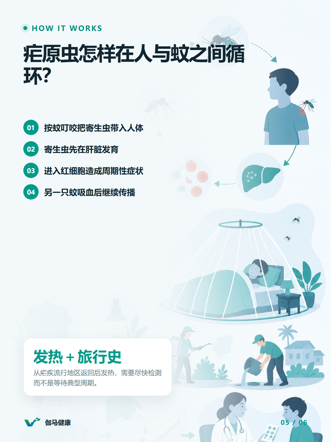 8月20日六图版第5张